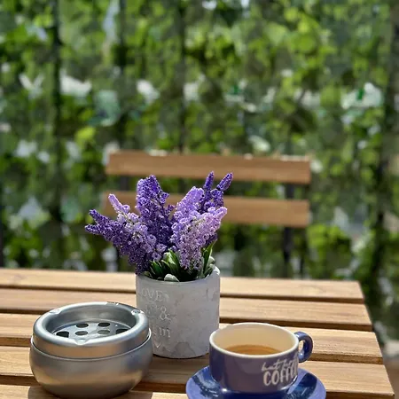 Artistic For 4 Guests In * Burgas City